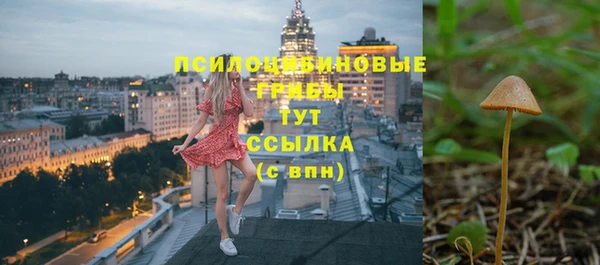 сатива Алексеевка