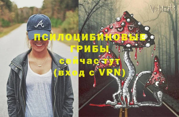 сатива Алексеевка