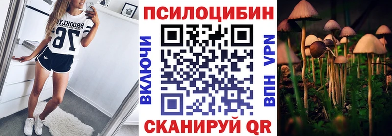 Псилоцибиновые грибы мицелий MEGA зеркало Мурино наркота