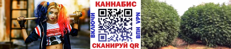 Конопля планчик  Мурино 